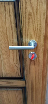 Двери из дуба Scandoors Wood С09