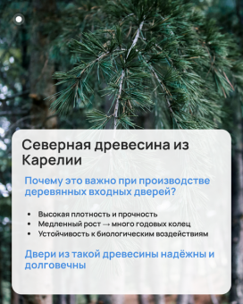 Дверь деревянная входная для дачи Scandi 011 Сосна АB